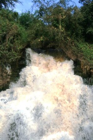 Awash National Park, Rift Valley, East Ethiopia. Fauna and Flora around the park and the Awash river.