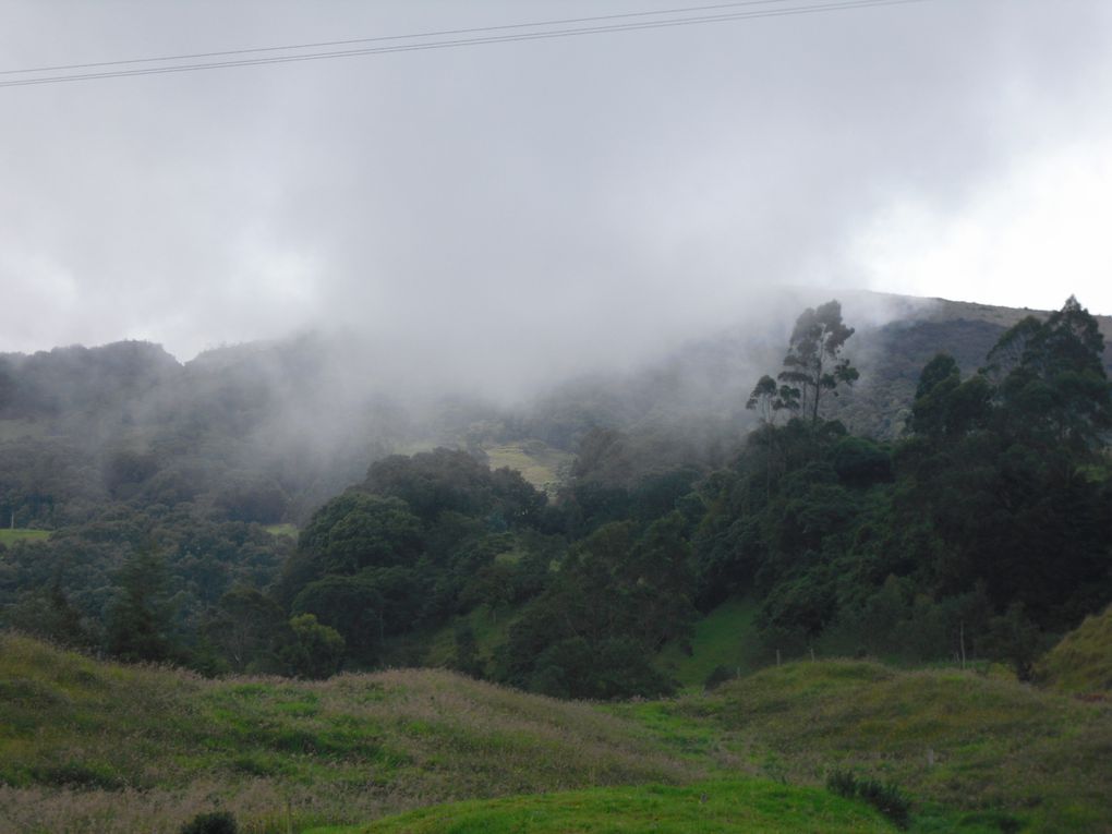 Album - COLOMBIA-2010