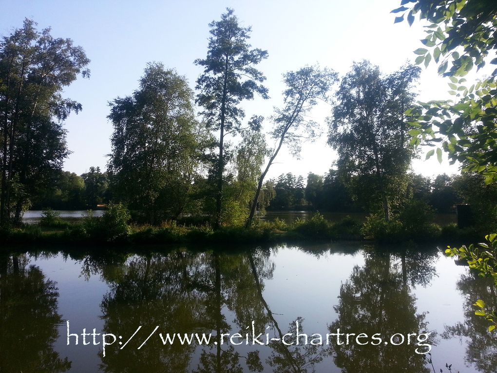 Le Reiki, l'Eau, l'Air, la Terre et le Feu 