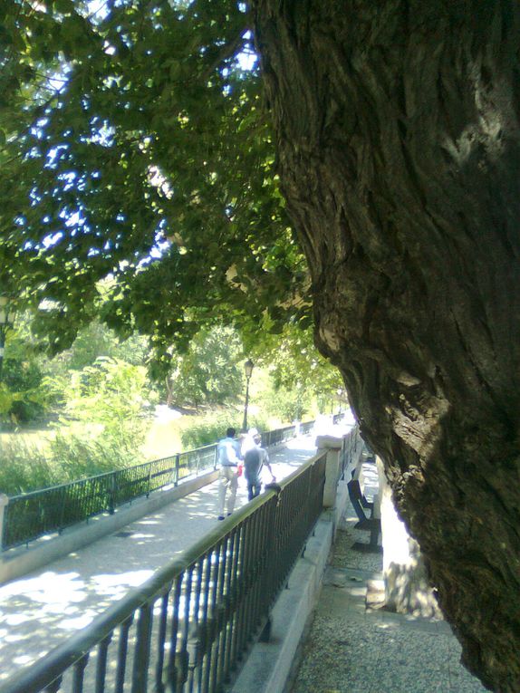 Album - Paseo-del-Canal--Zaragoza-