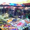 Wazemmes - Lille : Le Marché. The Market.