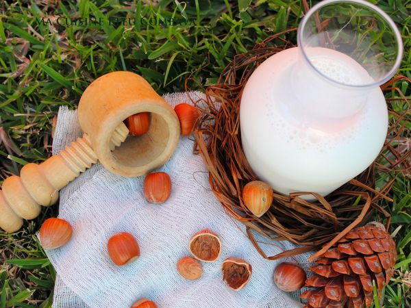 Lait Végétal Maison- Noisette ou Amande?