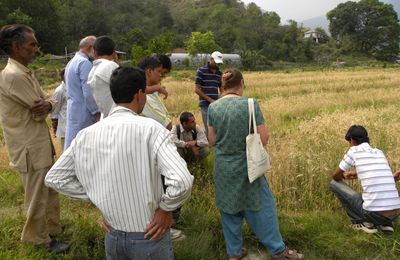 Visit: Local Farmers