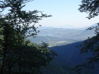 Autour de la Chartreuse de Curière ...