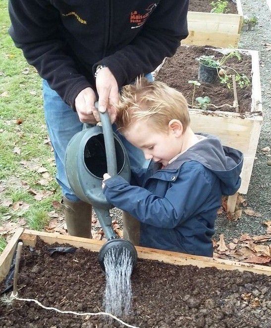 Nous avons arrosé nos plants.