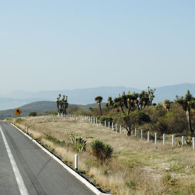 Troisième journée : Monte Alban et Oaxaca