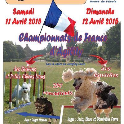 Premier championnat d'agility des bichons et des petits chiens lions