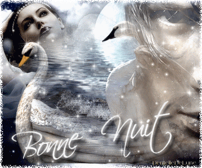 Gif Scintillant Bonne Nuit Romantique Les Gifs Animes De Dentelledelune