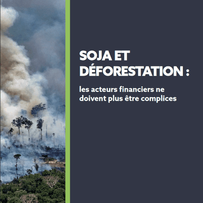 Soja et déforestation