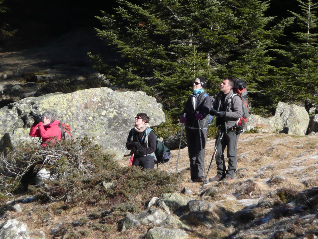 Album - Pyrenees-Janvier-2011