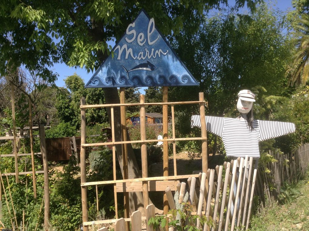 Jardin des saveurs, jardin magique, hortus du "Matrimoine Méditerranéen", jardin de la fraternité, engrais vert et jachère fleurie ... un petit coin de paradis à La Ciotat.