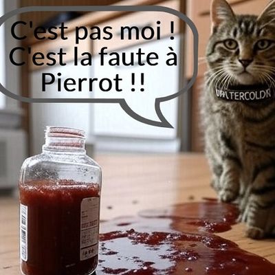 Wikipédia et CAr : la nouvelle pRAWpagande à l'œuvre !