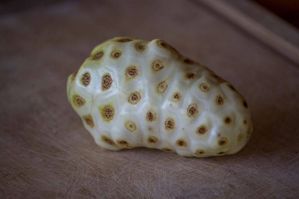 Papaye prête a être dévorée et Noni, nouveau fruit de jouvence en vogue dans la mecque de la santé californienne... 