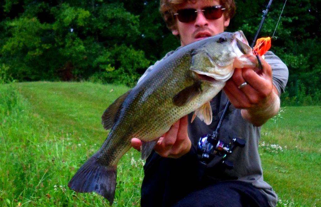 Une séléction de photos de black-bass bourguignons ! Manque hélas quelques gros pépères !