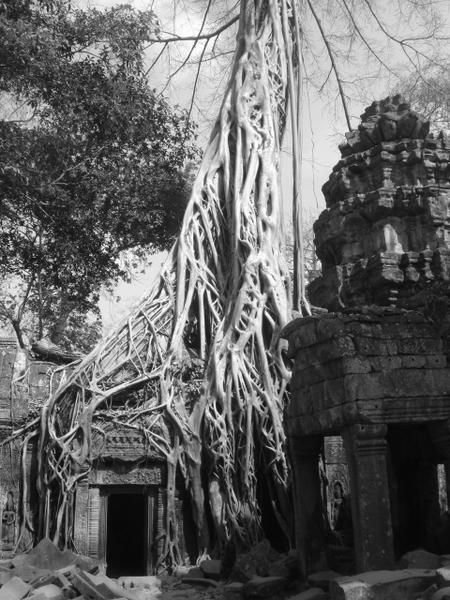 Album - Bangkok et Cambodge