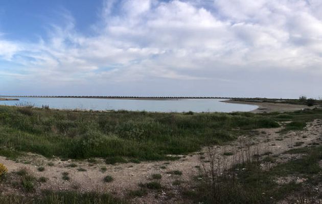 La llanura aluvial del Guadalquivir 