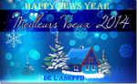 Tous nos Meilleurs Voeux 2014! Happy News Years 2014 de l’ANRPFD!