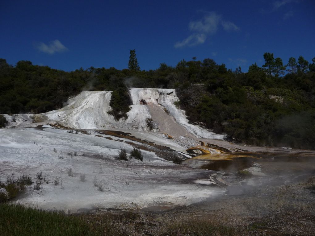 On ne connaissait rien de la NZ et on a découvert un pays magnifique. Une petite partie de l'ile du nord en camper van..Génial.  La nature a l'etat pur et une population accueillante.