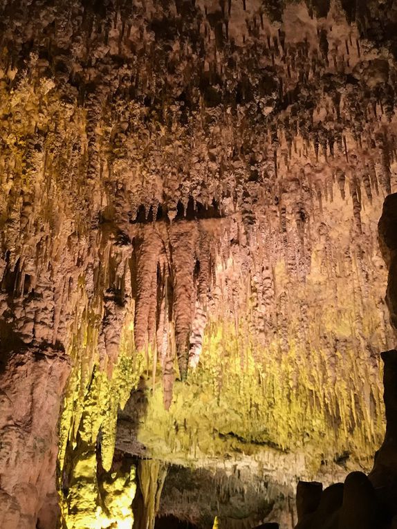 Coves dels Hams, Porto Cristo