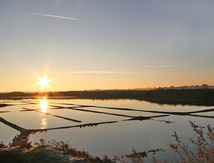 Aube dans les marais-salants de Guérande