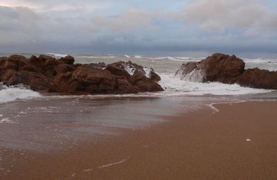 la pollution des plages de Vendée