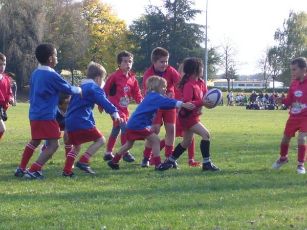 Album - Ecole-de-Rugby