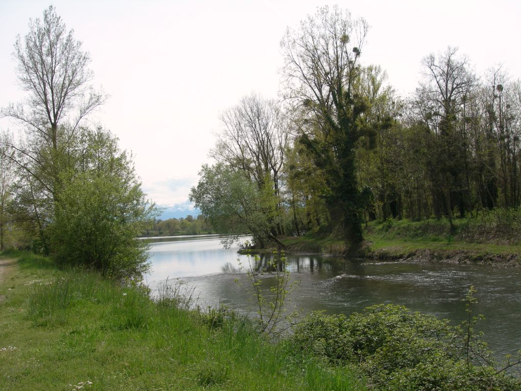 Promenade à quelques kilomètres de Tarbes très agréable, fréquentée aussi par les pêcheurs.