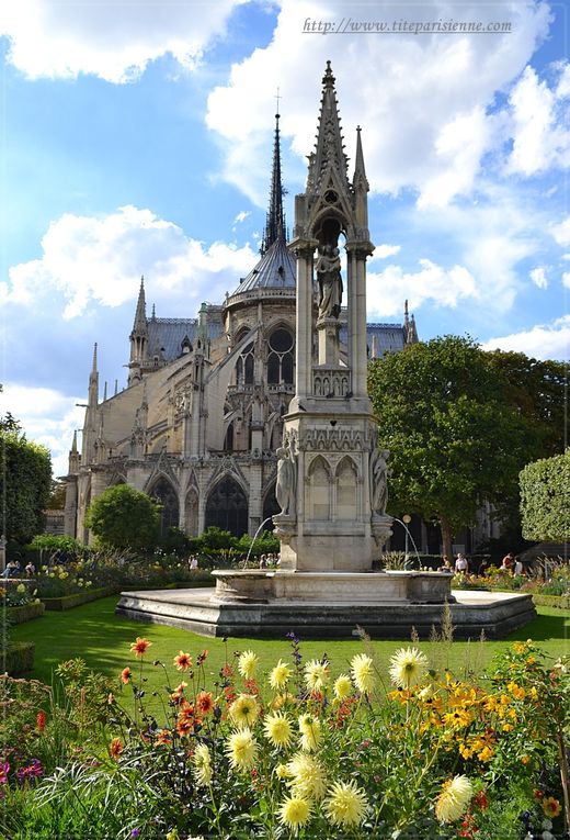 Notre-Dame de Paris et l'Île de la Cité
