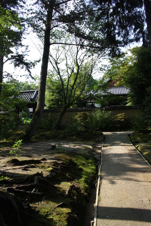 Album - Toshodai-ji