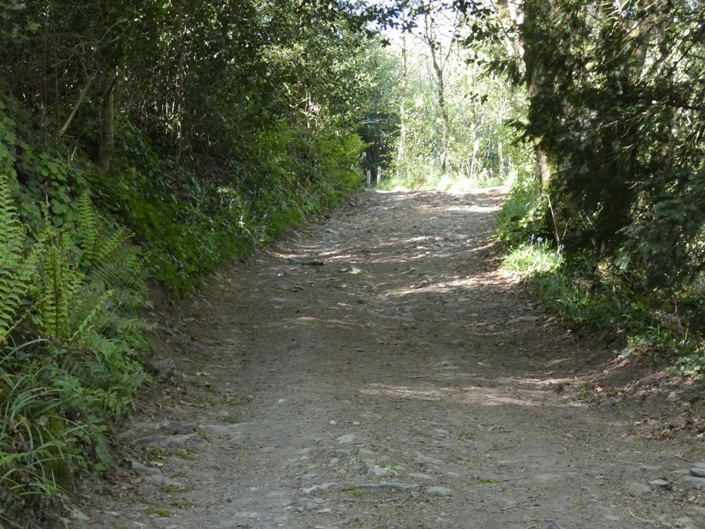 La vallée perdue à Loc Eguiner