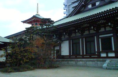 Le grand buddha de Tocho-ji