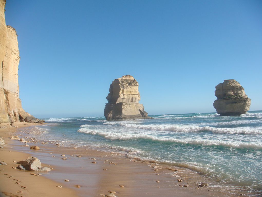 Une des plus Belle Route D'Australie, la Great Ocean Road longe la cote Sud de Melbourne A Adelaide. Les 12 Apotres Sont l'attraction principale de cette Route