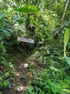 COSTA RICA - accueil touristique dans la jungle - &quot;Bolita&quot;