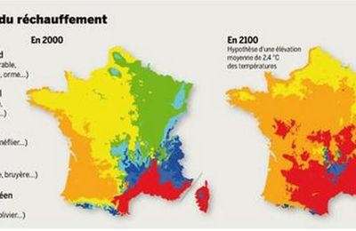 Evolution des différents types de forêt en France 