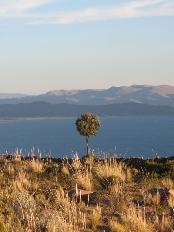 Lac Titicaca : îles Uros, île Taquille, île Amantani / Cusco / Chinchero / Machu Picchu / Pisac / Aguas calientes / Ollantaytambo / Arequipa / Colca / Nazca / Huacachina / Lima / Huaraz / Trujillo / Huanchaco