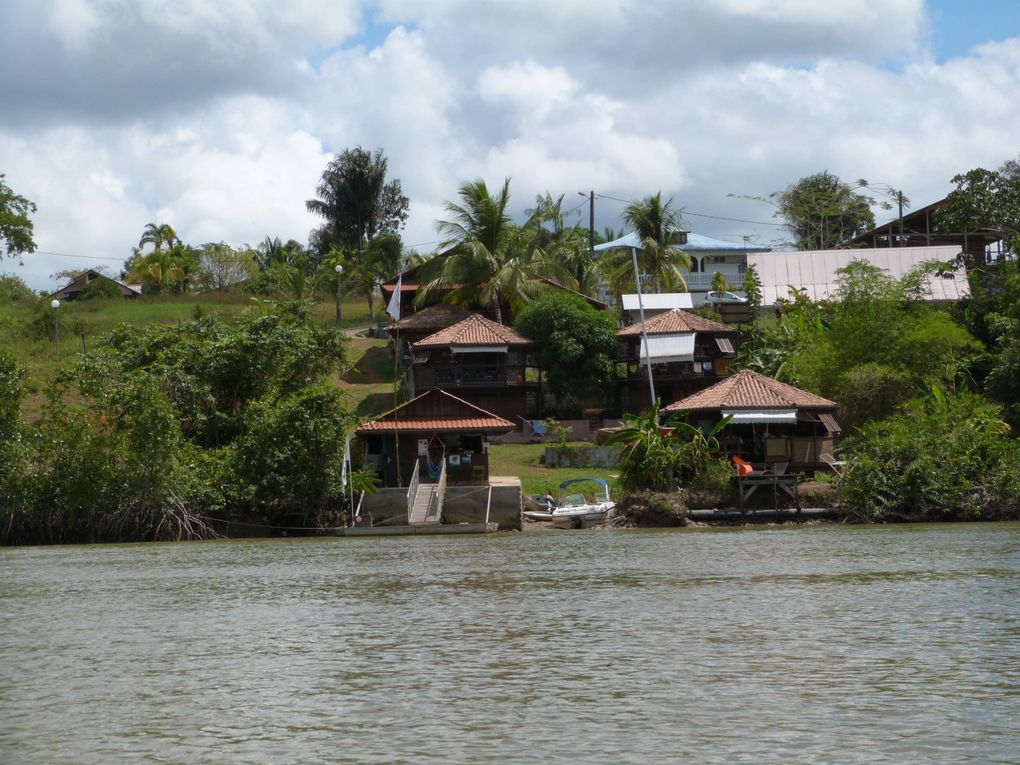 Album - GUYANE-Roura