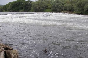 Mes 2 rivières de prédilection !