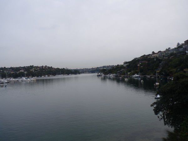 Album - Ferry - Manly