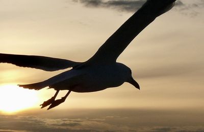 Mieux maîtriser son ascenseur émotionnel