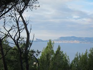 Boucle : Port de la madrague - domaine de la martelle - dune de sable - chemin des vignes - calanque de port d'alon - chemin du littoral -pointe Fauconnière -pointe du grenier - Port de la madrague 