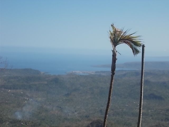 plage, poisson au repas, le Yunque, fete poour la naissance 164 ans de Jose Marti..