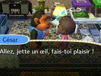 Le vingt deuxième jour :