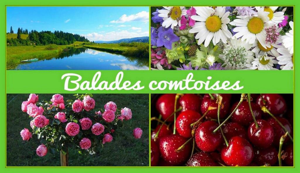 Balades comtoises 