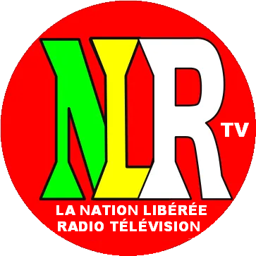 LES OPPORTUNITÉS OFFERTES PAR LA SOCIÉTÉ DE PRODUCTION AUDIOVISUELLE LA NATION LIBÉRÉE AU BÉNIN