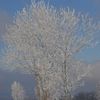 paysages de neige col des Goules