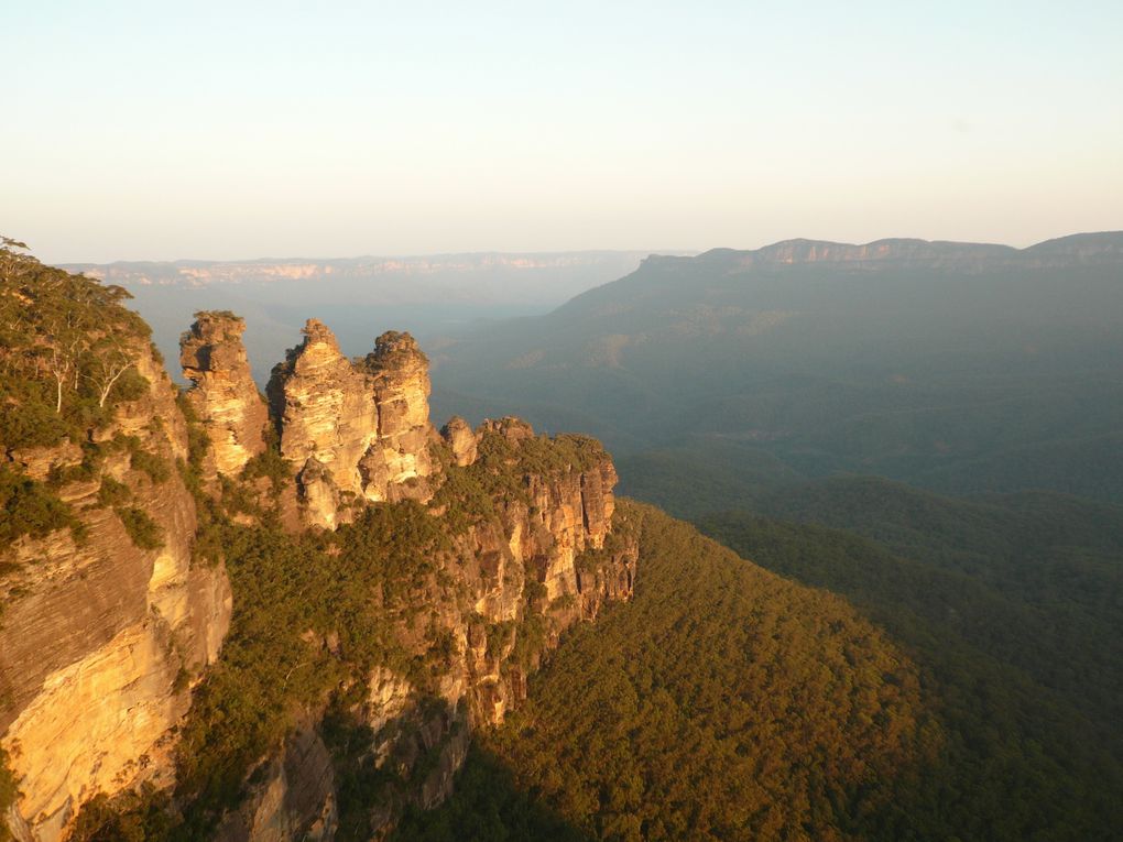 Album - Blue-Mountains