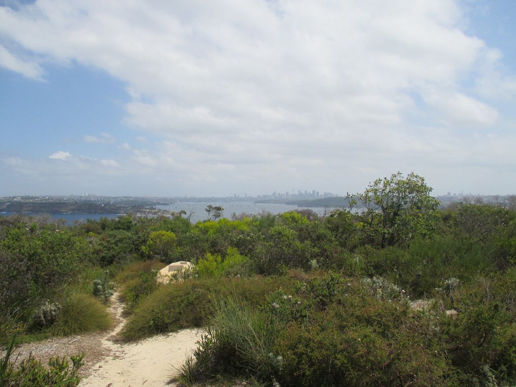 ouahhhhhhh  .... à couper le souffle !!!! voici la baie de Sydney ! (en vrai ça rend bien mieux !! dsl)