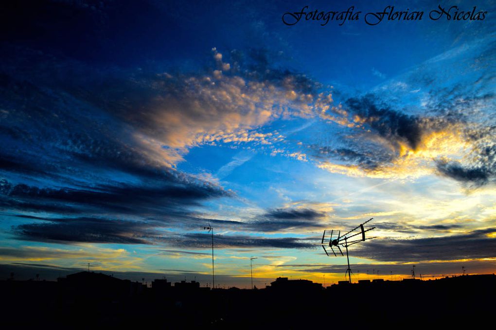 La felicidad es una sombra de la harmonía; persigue la harmonía. No hay otra forma de ser feliz.