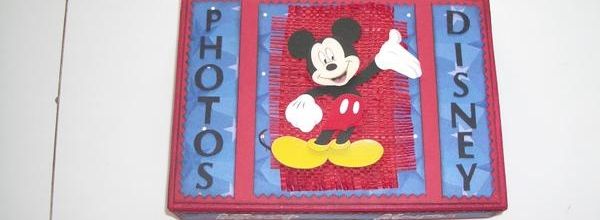 boite de rangement :photos disney