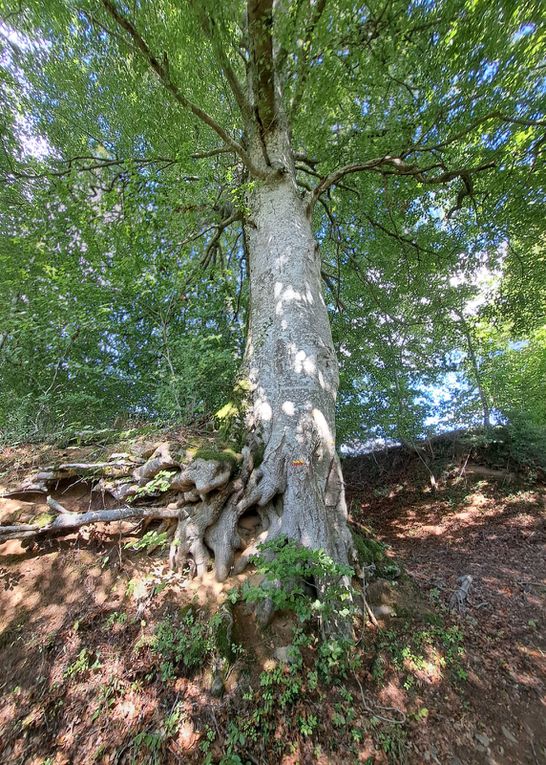 Un jeudi, entre lac et forêt !